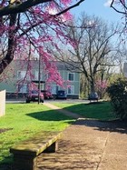 Courtyards throughout the property